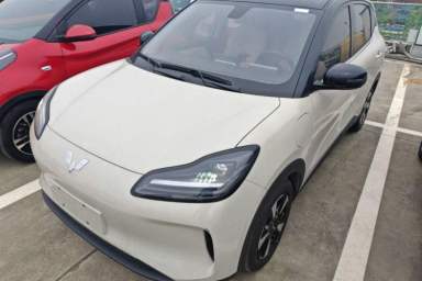 Used Wuling Bingo PLUS 2024 330 km Range Five-Seater Version