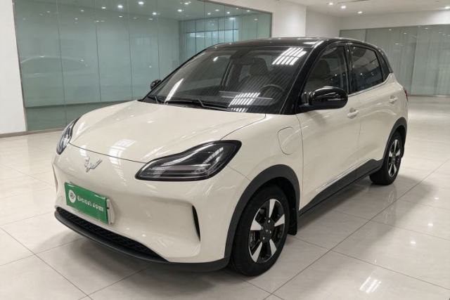 Used Wuling Bingo PLUS 2024 330 km Range Five-Seater Version