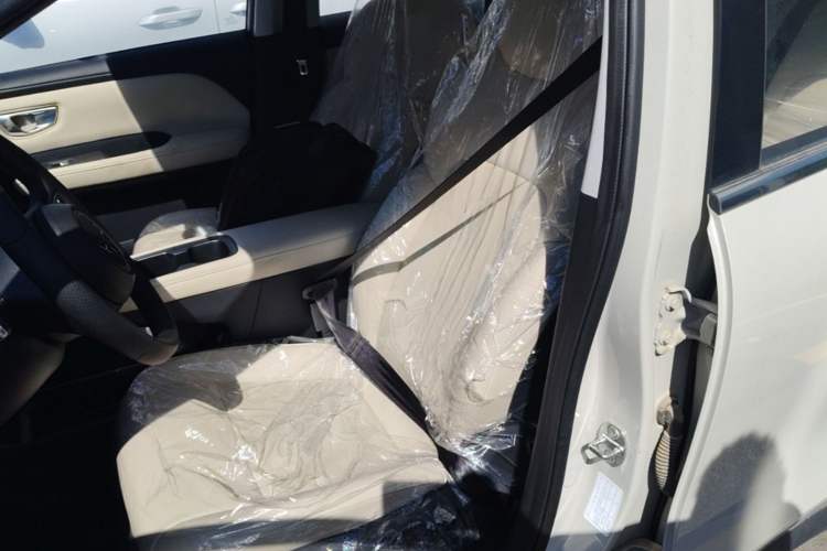 Used Wuling Bingo PLUS 2024 330 km Range Five-Seater Version Left Front Seat