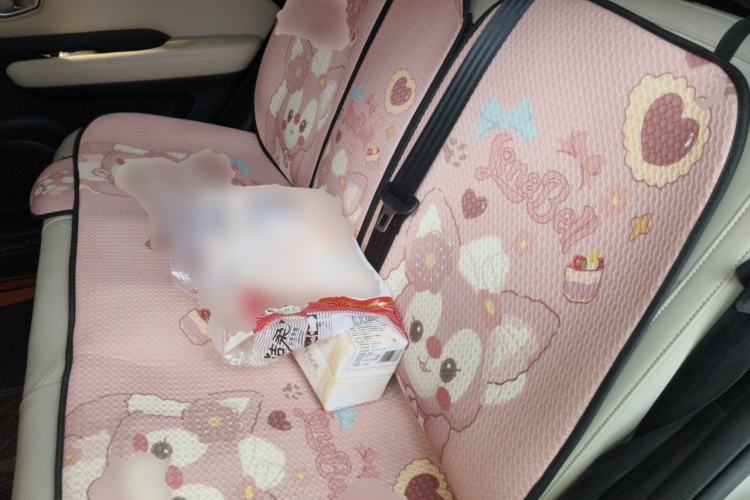 Used Wuling Bingo PLUS 2024 401 km Range 5-Seater Version Left Rear Seat