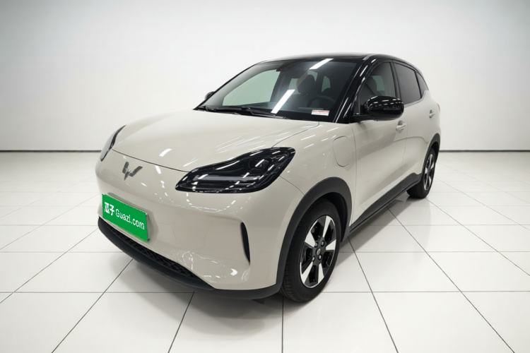 Wuling Bingo PLUS 2024 330 km Range Five-Seater Version