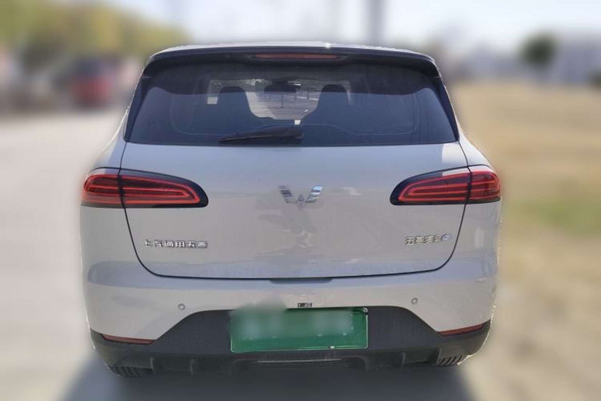 Used Wuling Bingo PLUS 2024 510 km Range 5-Seater Version Rear