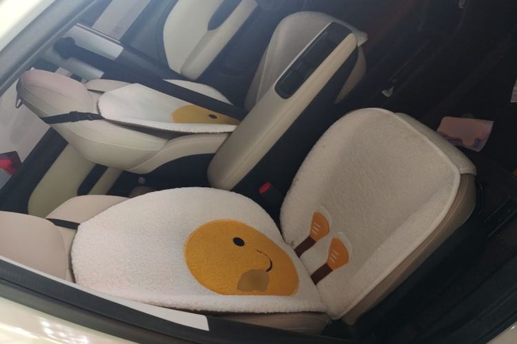 Used Wuling Bingo PLUS 2024 330 km Range Five-Seater Version Right Front Seat