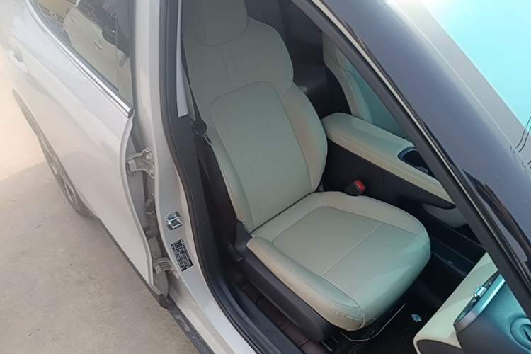 Used Wuling Bingo PLUS 2024 401 km Range 5-Seater Version Right Front Seat