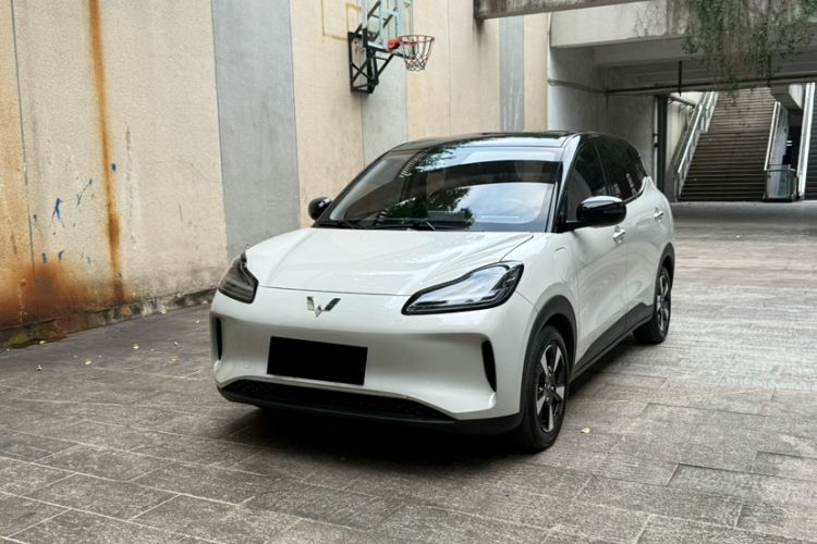 Wuling Bingo PLUS 2024 330 km Range Five-Seater Version