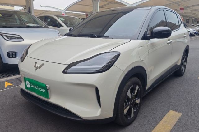 Used Wuling Bingo PLUS 2024 330 km Range Five-Seater Version