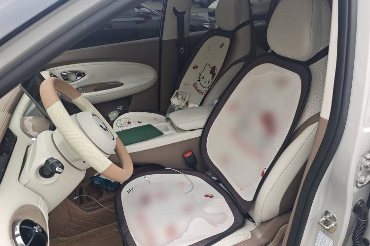 Used Wuling Bingo Pro 2026 Model 330km Deluxe Edition Left Front Seat