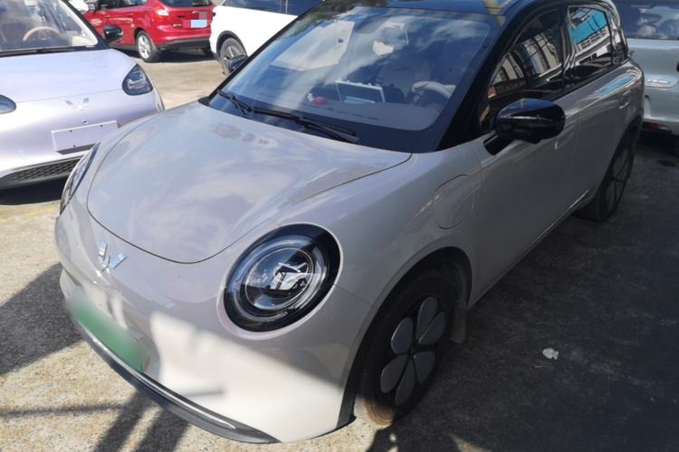 Wuling Bingo Pro 2026 Model 330km Flagship Edition