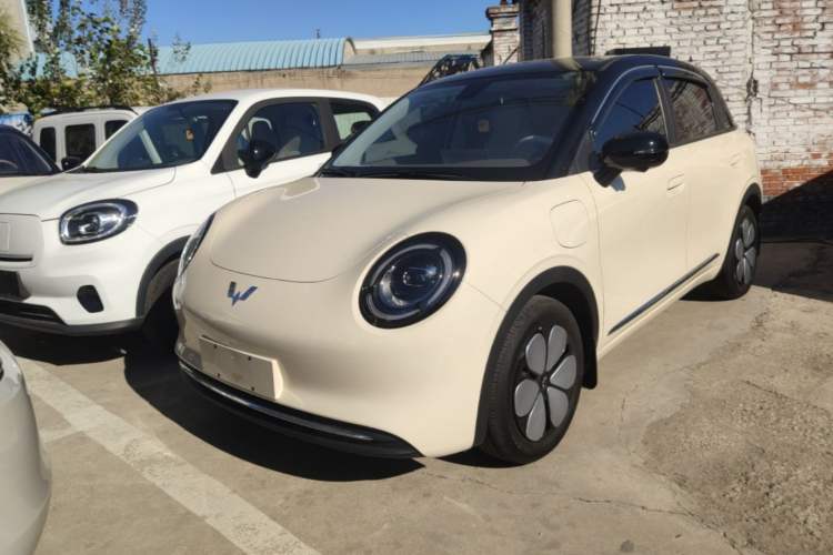 Wuling Bingo Pro 2026 Model 330km Deluxe Edition