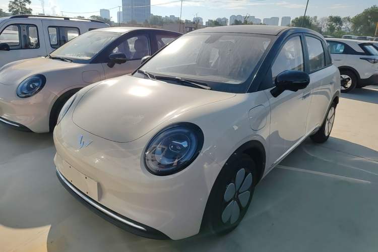 Wuling Bingo Pro 2026 Model 330km Deluxe Edition