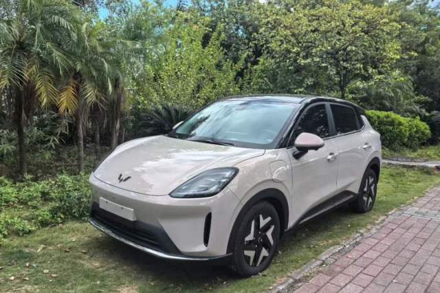 Used Wuling Bingo S 2025 Model 430km Flagship Edition
