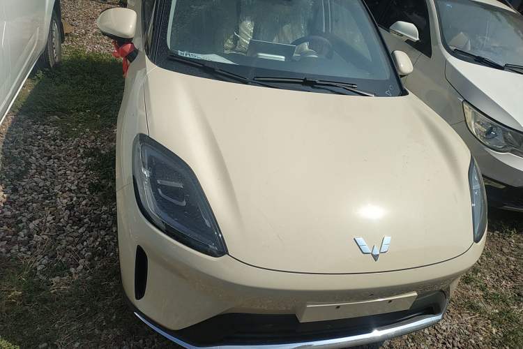 Used Wuling Bingo S 2025 Model 430km Flagship Edition Exterior 1