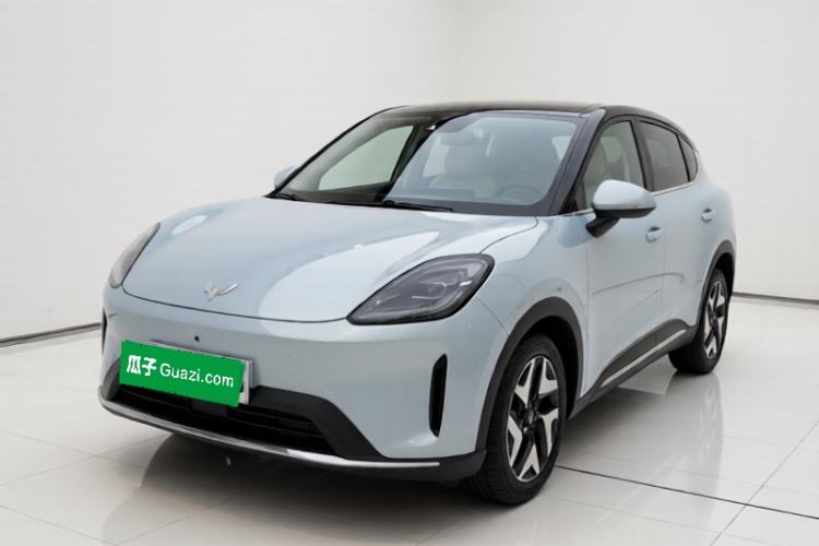 Wuling Bingo S 2025 Model 430km Flagship Edition