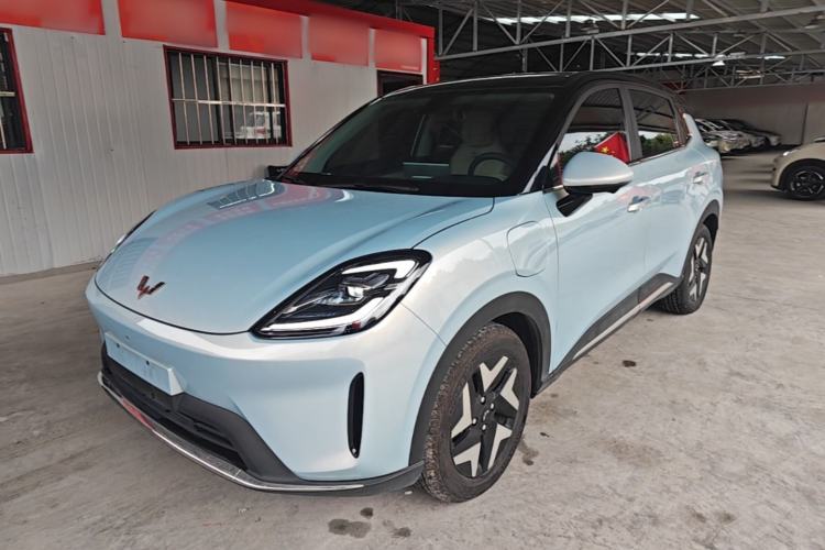 Wuling Bingo S 2025 Model 430km Flagship Edition
