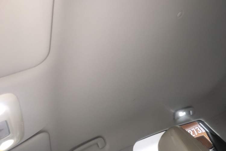 Used Wuling Bingo S 2025 Model 325km Deluxe Edition Headliner