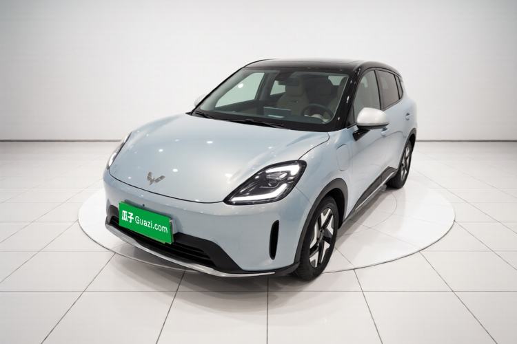 Wuling Bingo S 2025 Model 430km Flagship Edition