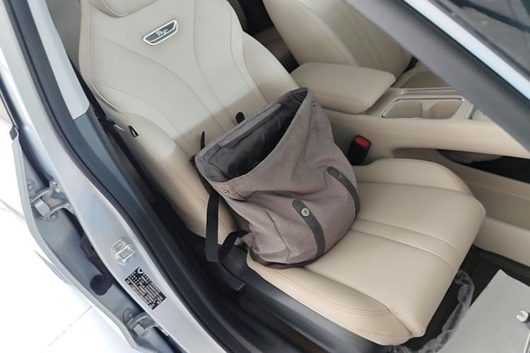 Used Wuling Bingo S 2025 Model 430km Flagship Edition Right Front Seat