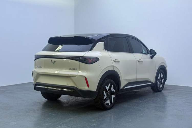 Used Wuling Bingo S 2025 Model 430km Flagship Edition Exterior 6