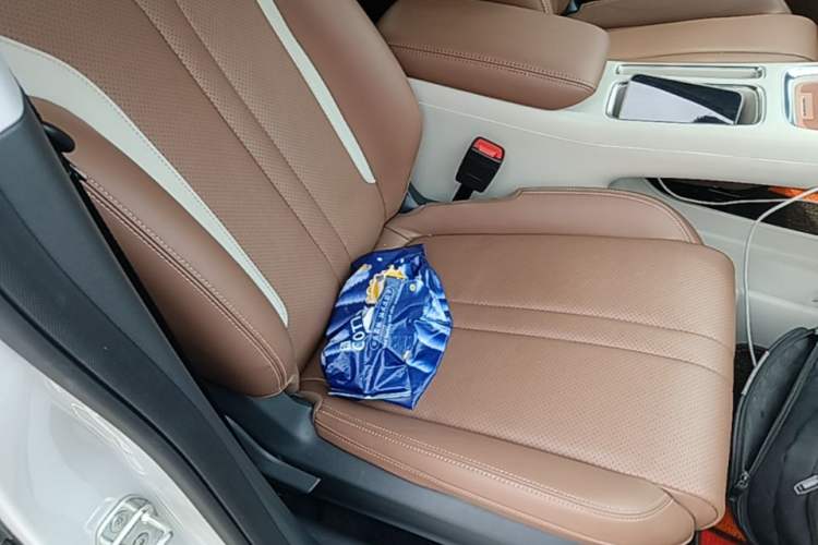 Used Wuling Bingo S 2025 Model 430km Deluxe Edition Right Front Seat