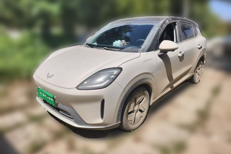 Wuling Bingo S 2025 Model 430km Flagship Edition