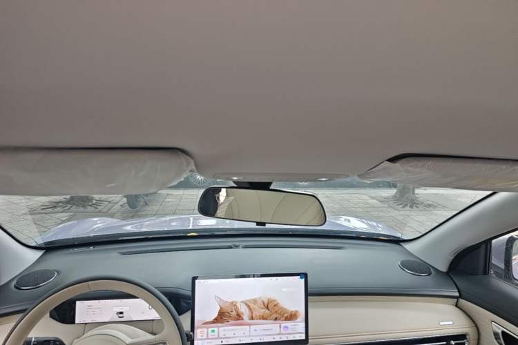 Used Wuling Bingo S 2025 Model 430km Flagship Edition Headliner