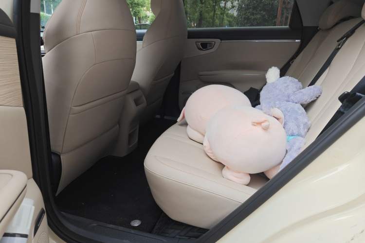 Used Wuling Bingo S 2025 Model 325km Deluxe Edition Left Rear Seat