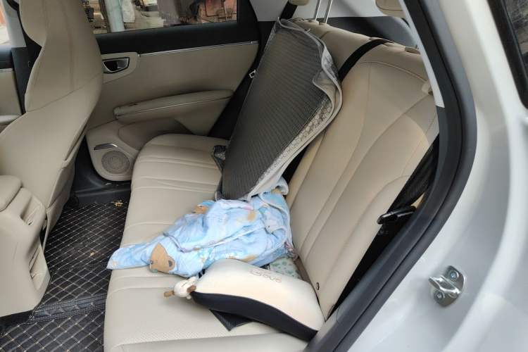 Used Wuling Bingo S 2025 Model 430km Flagship Edition Left Rear Seat