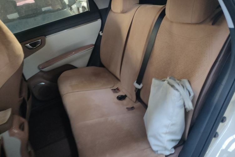Used Wuling Bingo S 2025 Model 430km Flagship Edition Left Rear Seat