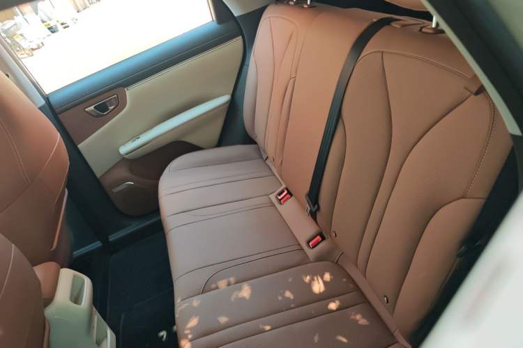Used Wuling Bingo S 2025 Model 325km Deluxe Edition Left Rear Seat