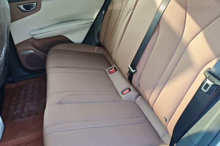 Used Wuling Bingo S 2025 Model 325km Deluxe Edition Left Rear Seat