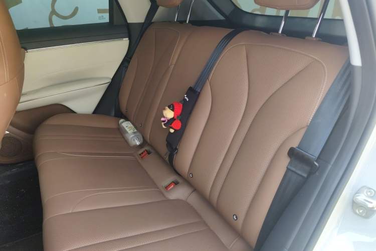 Used Wuling Bingo S 2025 Model 325km Deluxe Edition Left Rear Seat