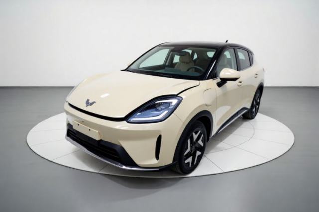 Used Wuling Bingo S 2025 Model 325km Flagship Edition