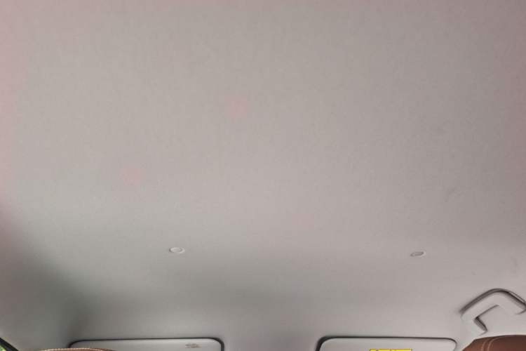 Used Wuling Bingo S 2025 Model 325km Deluxe Edition Headliner