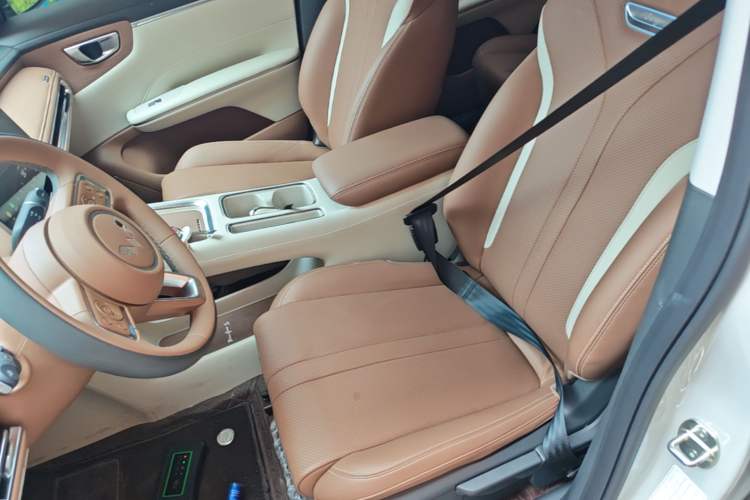 Used Wuling Bingo S 2025 Model 325km Deluxe Edition Left Front Seat