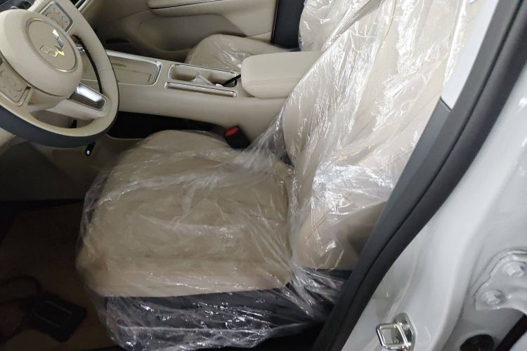 Used Wuling Bingo S 2025 Model 325km Deluxe Edition Left Front Seat