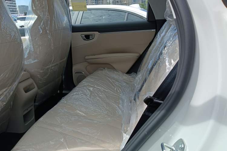 Used Wuling Bingo S 2025 Model 325km Deluxe Edition Left Rear Seat