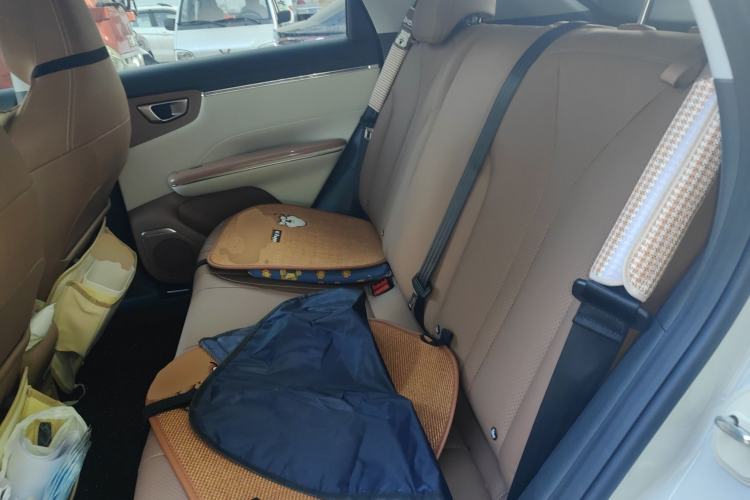 Used Wuling Bingo S 2025 Model 430km Flagship Edition Left Rear Seat