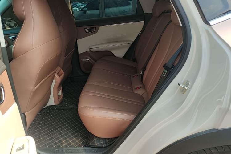 Used Wuling Bingo S 2025 Model 325km Deluxe Edition Left Rear Seat