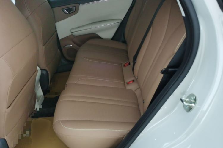 Used Wuling Bingo S 2025 Model 430km Flagship Edition Left Rear Seat