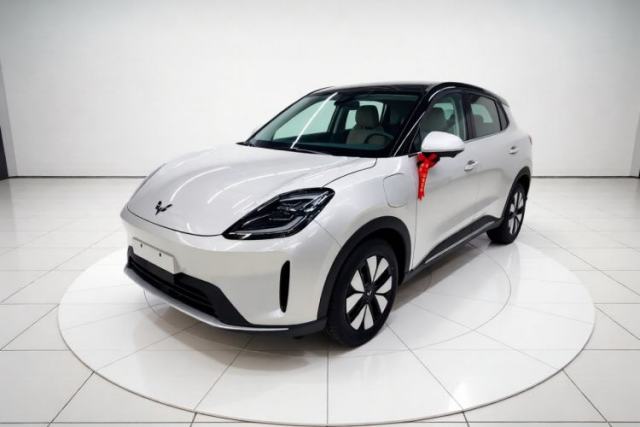 Used Wuling Bingo S 2025 Model 325km Deluxe Edition