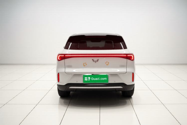 Used Wuling Bingo S 2025 Model 325km Deluxe Edition Rear