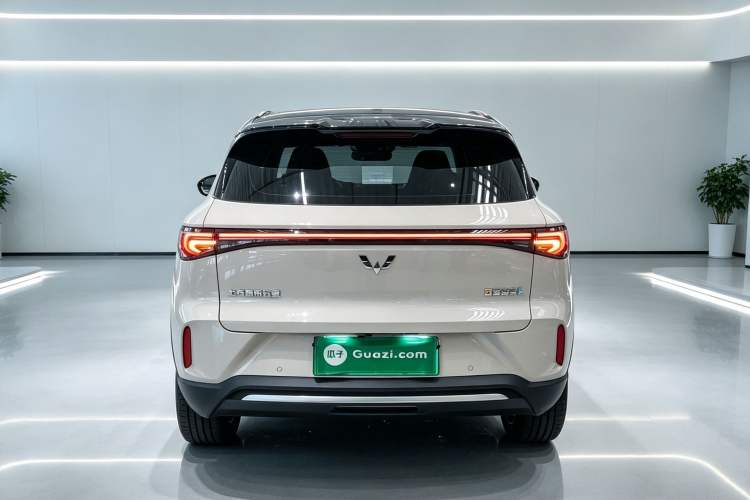 Used Wuling Bingo S 2025 Model 325km Deluxe Edition Rear