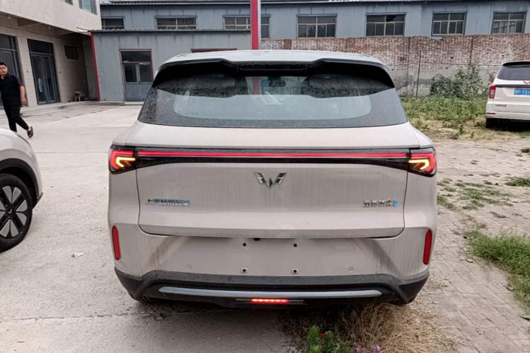 Used Wuling Bingo S 2025 Model 325km Deluxe Edition Rear