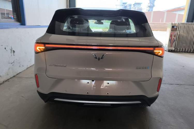 Used Wuling Bingo S 2025 Model 325km Deluxe Edition Rear