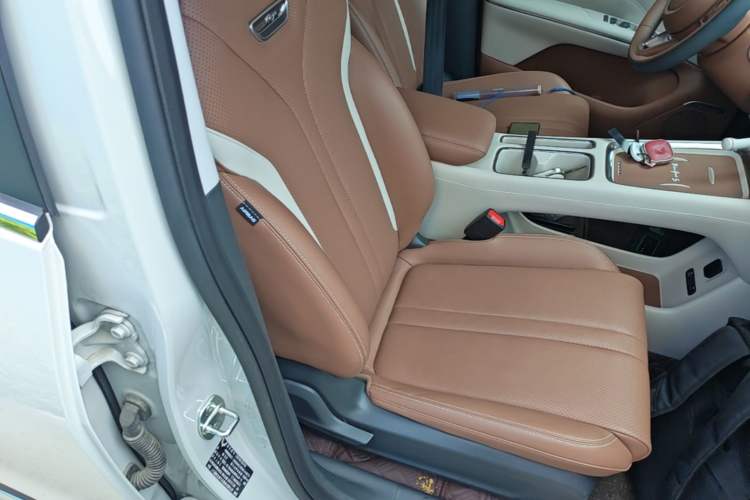 Used Wuling Bingo S 2025 Model 325km Deluxe Edition Right Front Seat