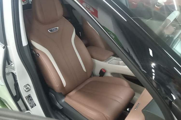 Used Wuling Bingo S 2025 Model 430km Flagship Edition Right Front Seat