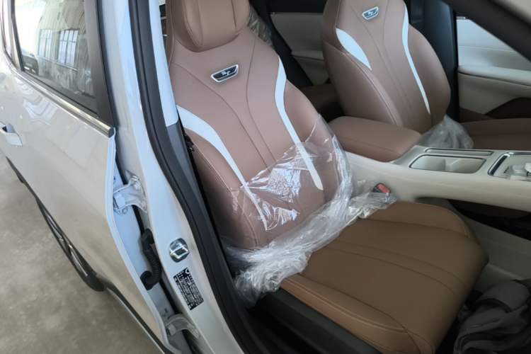 Used Wuling Bingo S 2025 Model 325km Deluxe Edition Right Front Seat