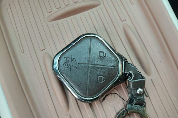 Used Wuling Bingo S 2025 Model 325km Deluxe Edition Vehicle Key