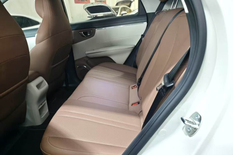 Used Wuling Bingo S 2025 Model 430km Deluxe Edition Left Rear Seat
