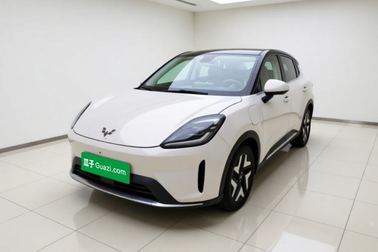 Wuling Bingo S 2025 Model 325km Flagship Edition